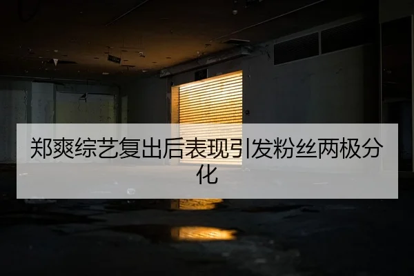郑爽综艺复出后表现引发粉丝两极分化